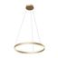 Modern Rim Pendant Lamp Brass thumbnail 1