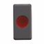 SINGLE INDICATOR LAMP - 12/24/250V - TRANSPARENT - 1 MODULE - SYSTEM BLACK thumbnail 2