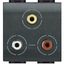 Triple RCA video socket 2 modules LivingLight anthracite thumbnail 2