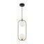 Modern Ring Pendant Lamp Brass thumbnail 4