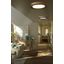 TENDER CEILING LAMP BLACK LED 24W 3000K thumbnail 2