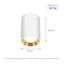 CHLOE MINI P20 round, body white, ring gold, edge white thumbnail 1