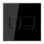 Centre plate for MJ f. 2 sockets LS1969-2WESW thumbnail 1