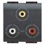 Triple RCA video socket 2 modules LivingLight anthracite thumbnail 1