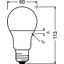 LED VALUE CLASSIC A 60 FR 8.5 W/6500 K E27 thumbnail 5