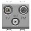 SOCKET-OUTLET TV-FM-SAT - DIRECT - 2 MODULES - TITANIUM - CHORUSMART thumbnail 2