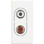 Double RCA audio socket Axolute white thumbnail 2