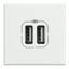 AXOLUTE - DOUBLE USB CHARGER WHITE thumbnail 1