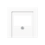 Centre plate for loudspeaker socket A569BFPLTWW thumbnail 2