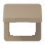 Centre plate with hinged lid CD590KLGB thumbnail 6