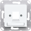 Centre plate for modular jack sockets 169-1NWEWW thumbnail 2