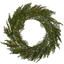 Wreath Thuja thumbnail 1