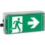 Ex-escape sign luminaires EXIT 2 V-CG-S for zone 2/22, Pictogram: DIN ISO 7010, Arrow: 9 Clock thumbnail 6