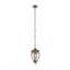 Outdoor  Fleur Pendant Lamp Black with Gold thumbnail 2