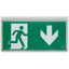 Harrier IP65 Blade Exit Sign Double Sided Legend Arrow Down thumbnail 4