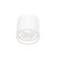 CHLOE AR111 GU10 IP65 round white thumbnail 5