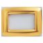 PLAYBUS YOUNG PLATE - IN METALLISEE TECHNOPOLYMER - SATIN FINISHING - 6 GANG - ANTIQUE GOLD - PLAYBUS thumbnail 2