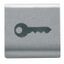 INTERCHANGEABLE BUTTON KEY - 22X22mm - KEY - TITANIUM - CHORUSMART thumbnail 2