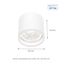 CHLOE AR111 GU10 IP65 round white thumbnail 15