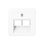 Centre plate for 2-gang modular jack 169-2UAEWW thumbnail 1