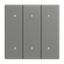 2570-30-803 Rocker for Switch/push button Three-part rocker grey metallic - solo thumbnail 8