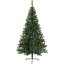 Christmas Tree Kanada thumbnail 2