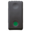 PUSH-BUTTON 1P 250V ac - NO 10A - AUXILIARES CONTACT NC - START - SYMBOL GREEN - 1 MODULE - SYSTEM BLACK thumbnail 1