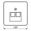 Centre plate for 2-gang modular jack 569-2UA thumbnail 3