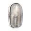 Bulkhead light - IP 55 - IK 04 - oval - 75 W - E27 - though environments thumbnail 2