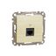 DATA Outlet CAT 6 UTP, Sedna Design & Elements, RJ45, Wood brich thumbnail 3