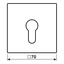 Centre plate f. key switch LS925 thumbnail 2