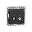 TV/SAT Socket intermediate 10db, Sedna, Anthracite thumbnail 4