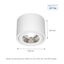 CHLOE AR111 GU10 IP44 118x114 ROUND WHITE thumbnail 12