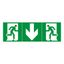 Label - for emergency lighting luminaires - exit door below - 100 x 200 mm thumbnail 2