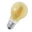 SMART+ Filament Classic Dimmable 6W 824 230V FIL GD E27 thumbnail 5