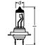 64210-01B 55W 12V PX26D BLI1DK OSRAM thumbnail 2