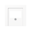 Centre plate for loudspeaker socket A569PLTWW thumbnail 1