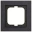 1721-248 Cover Frame Busch-axcent® paper blue thumbnail 1