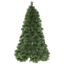 Christmas Tree Cembra thumbnail 2