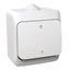 Cedar Plus - 2pole switch - 16AX, white thumbnail 2