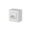 Modul wall outlet surface mounted 2 port unequipped pure white 43 mm thumbnail 1