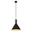 PHELIA pendulum luminaire 2, black thumbnail 1