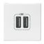 MOSAIC 2 USB CHARGER 2 MOD A+A 3A 15W WHITE thumbnail 2