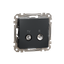 TV/R Socket intermediate 10db, Sedna, Anthracite thumbnail 5