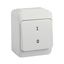 Artic - switch - 2-pole - 16 A - 250 V - white thumbnail 4