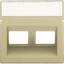 Central plate data 2x RJ oblique output, gold coated thumbnail 2