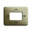 6435-260 CoverPlates (partly incl. Insert) carat® Palladium thumbnail 1