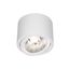 CHLOE AR111 GU10 IP44 118x114 ROUND WHITE thumbnail 14