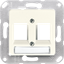 Centre plate for modular jack sockets 169-2NFWE thumbnail 2