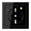 FI socket (RCD 30 mA) LS5520.30SW thumbnail 1